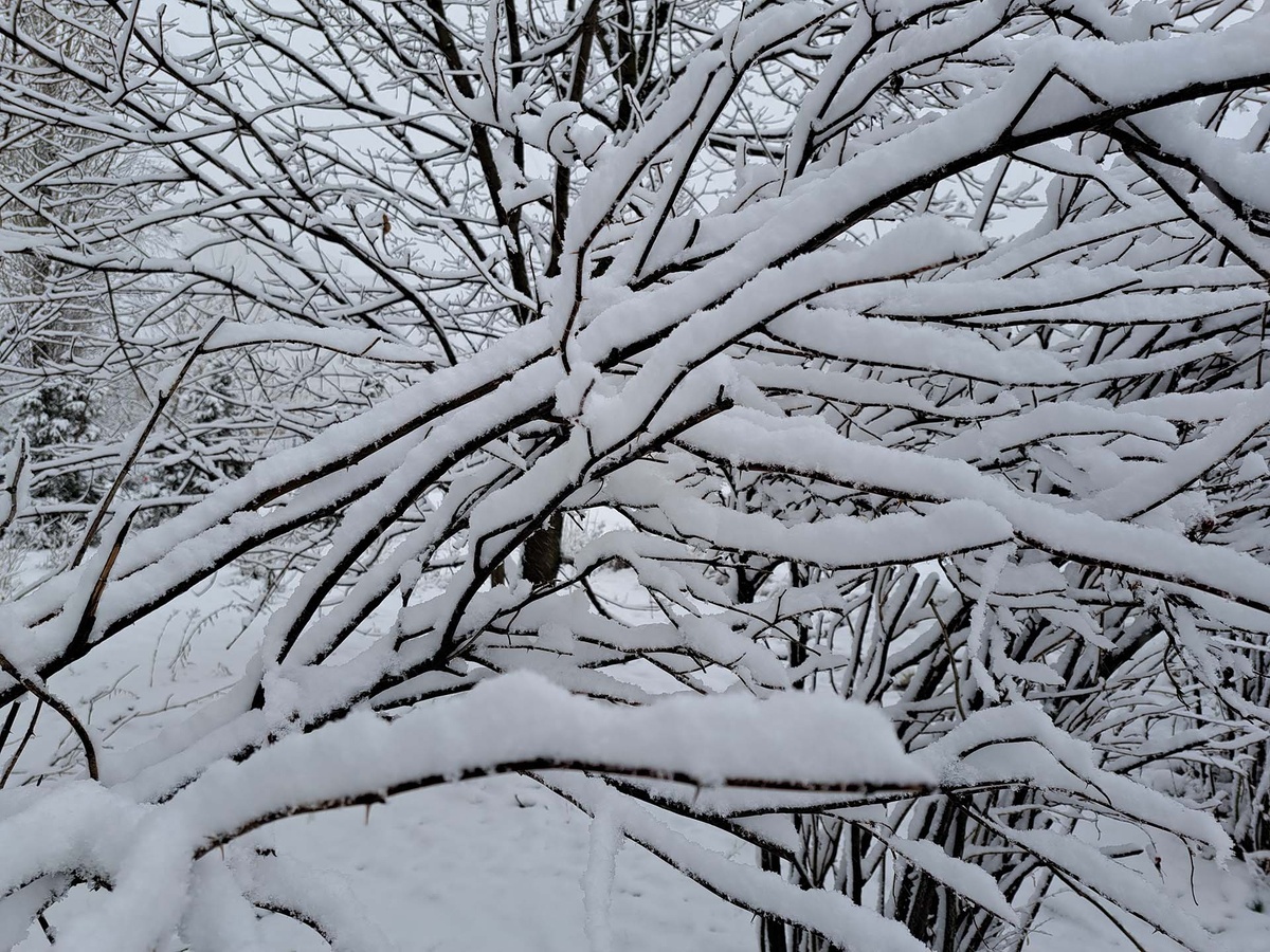 Синоптики предупредили приморцев о температурных «качелях» и мощном циклоне на выходныхСиноптики предупредили приморцев о температурных «качелях» и мощном циклоне на выходных.  Фото: Фото: ФедералПресс / Вера Романескул