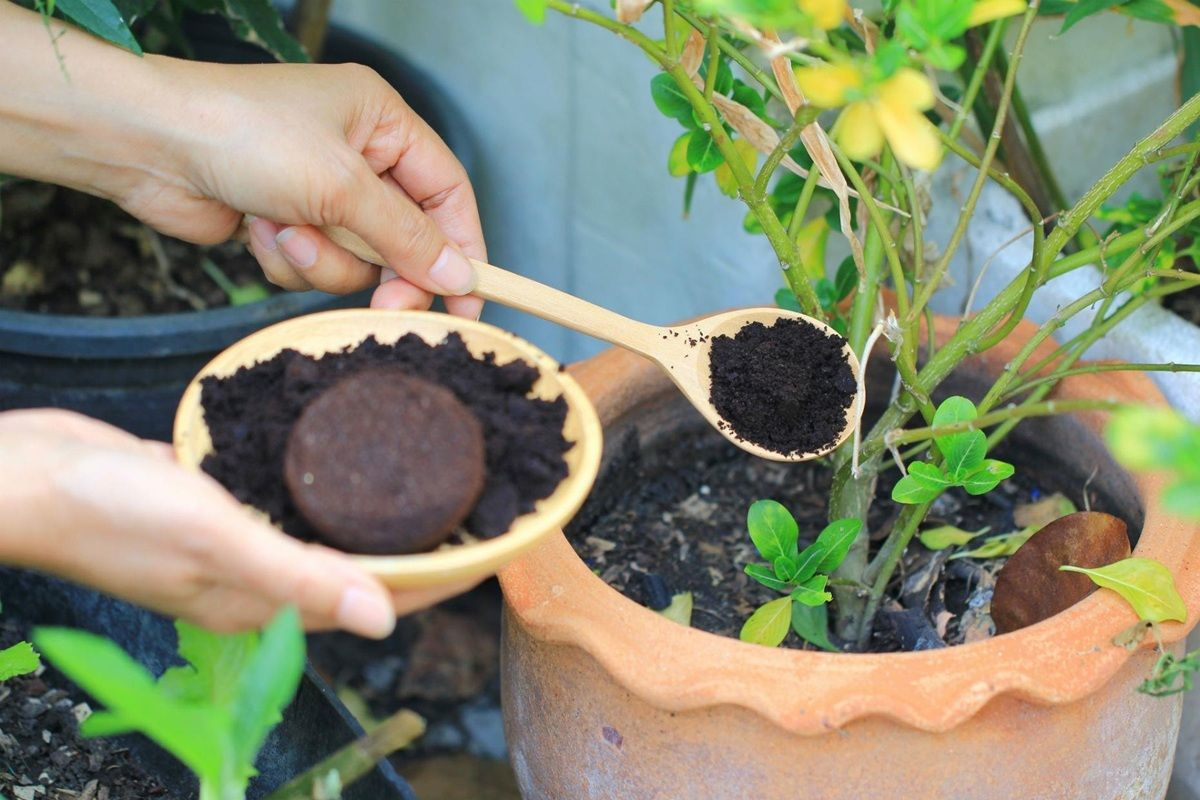 Яндекс. Картинки