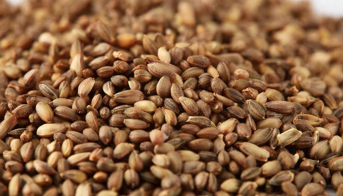    Фото сгенерировано нейросетью