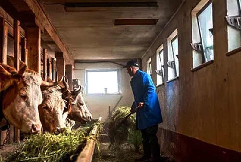 Семейный подряд