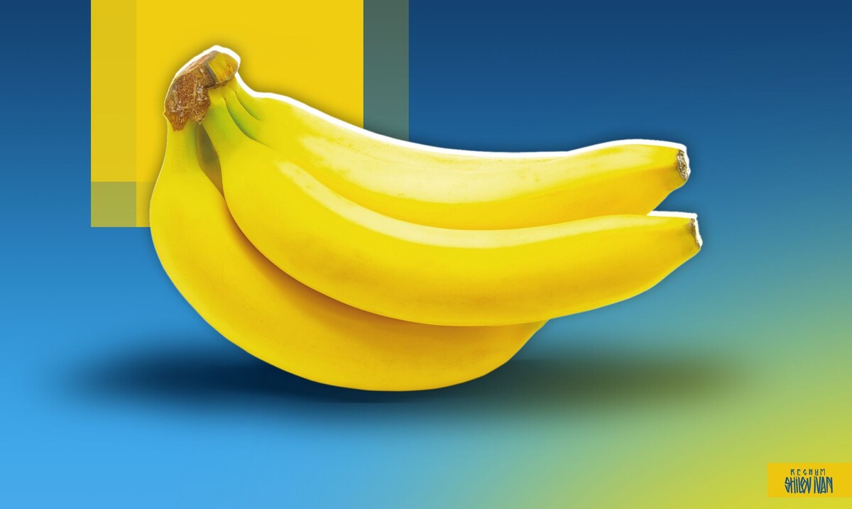     / Источник: Иван Шилов (с) ИА Регнум