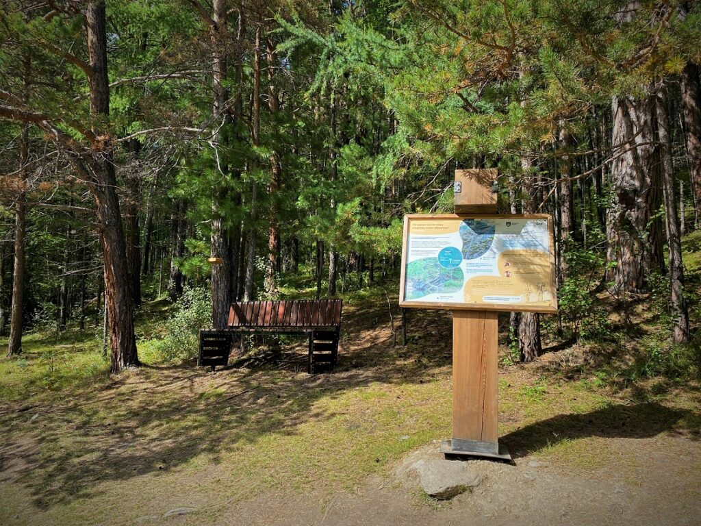 Фото: Марины Радзиевской и Кристины Глотовой