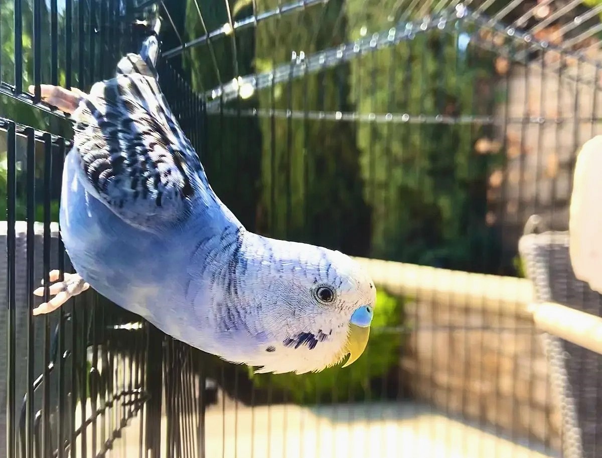 Бумс - и приземлился чуть-чуть мимо