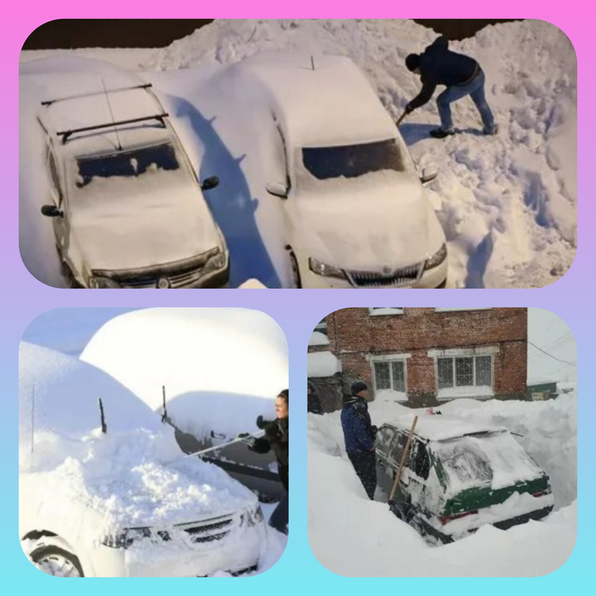 Коллаж автора.