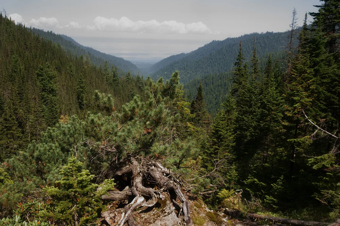 Фото: moya-planeta.ru