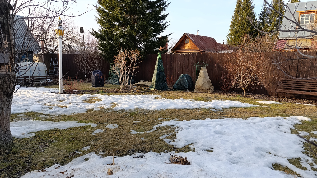 29 марта 2025 года