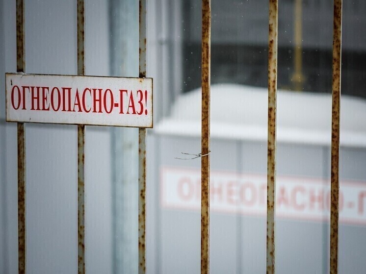     Фото: Roman Naumov/URA.RU/Global Look Press