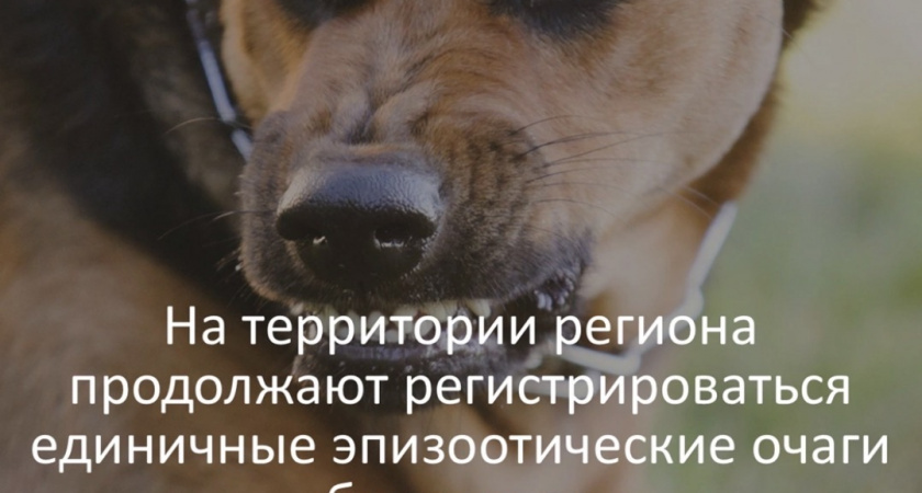    Фото: Роспотребнадзор Владимирской области