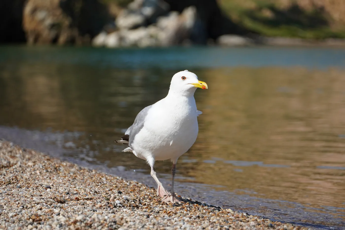 Фото: photocentra.ru