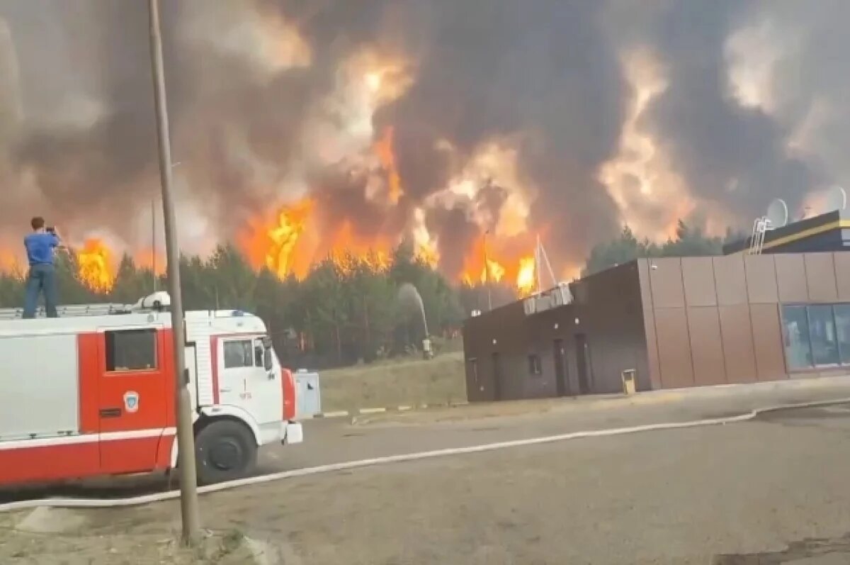    Двух подростков осудили за поджоги леса по заданию куратора под Читой