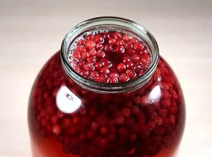 Моченая брусника - кладезь полезных веществ