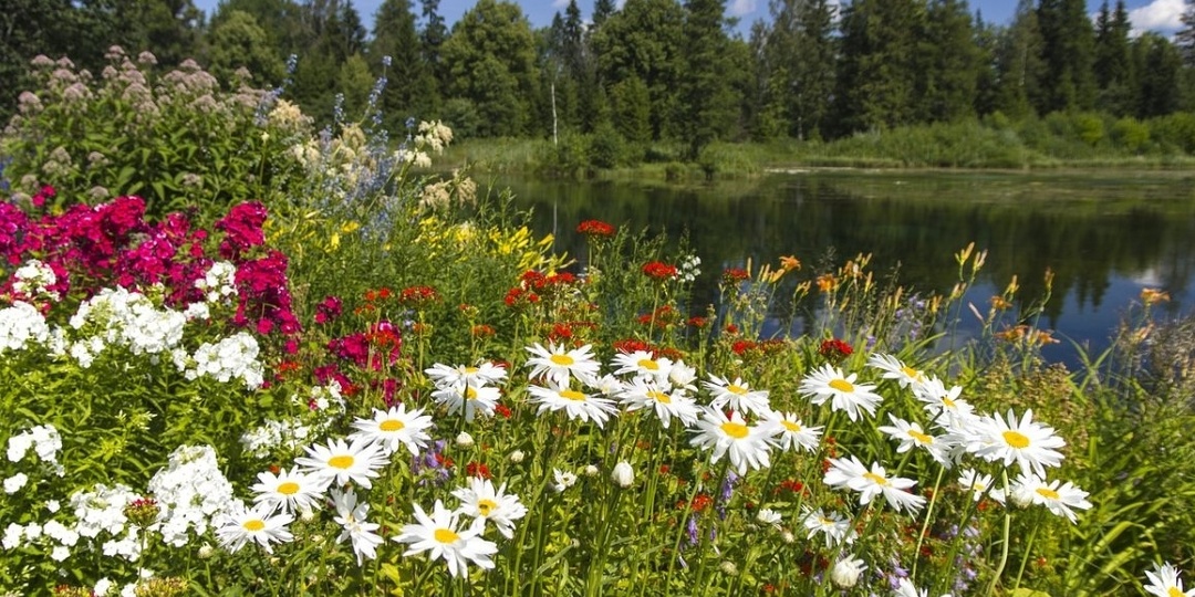 Два берега одной судьбы. Глава 33 Рассказ