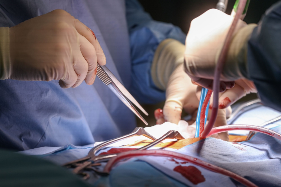    Сергей Булкин/NEWS.ru