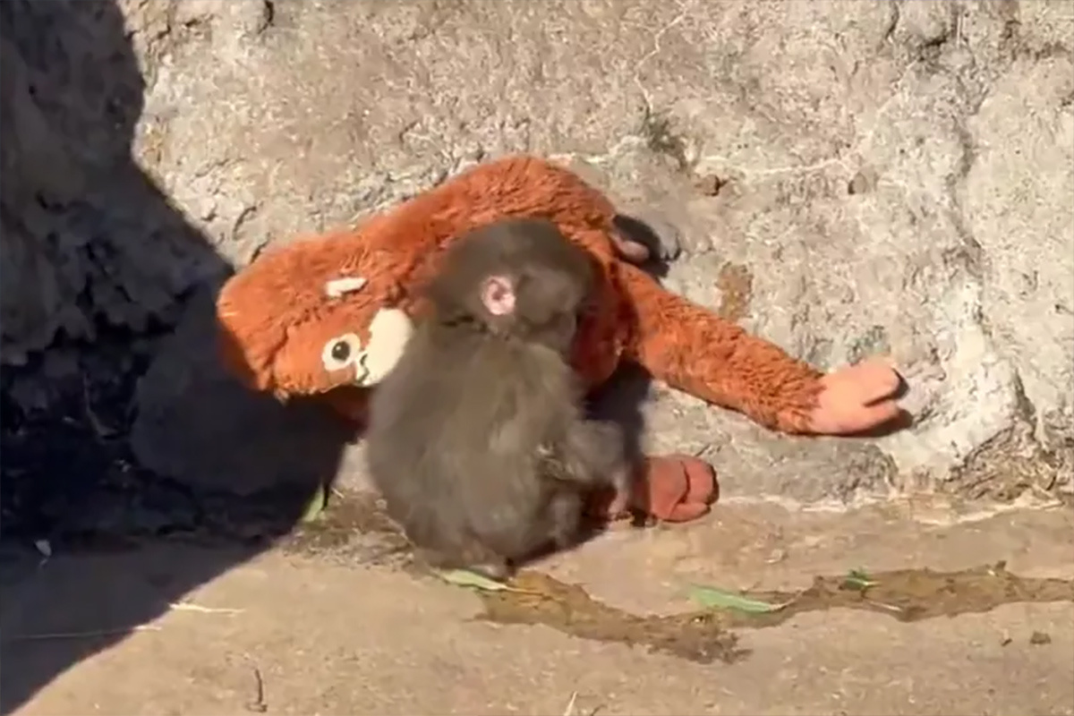    Фото: РИА Новости