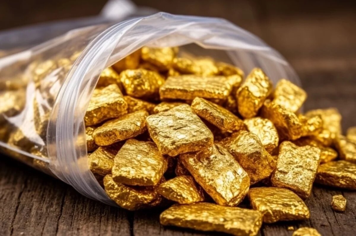    В Хабаровске задержали контрабандиста с партией золота на 5 млн рублей