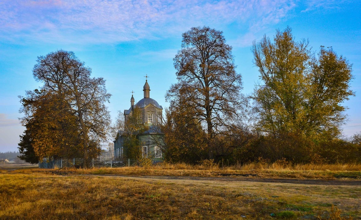 фото из открытого доступного источника сети интернет