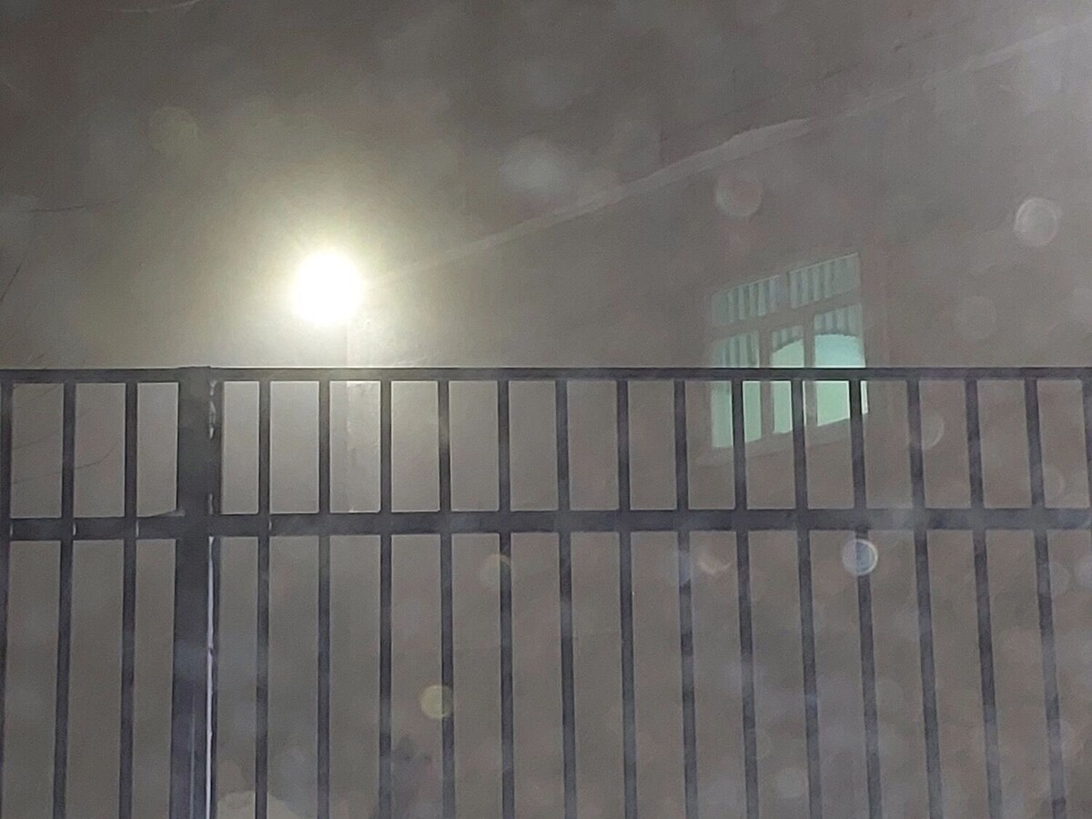    В Оренбурге плохая видимость и метель   56orb.ru