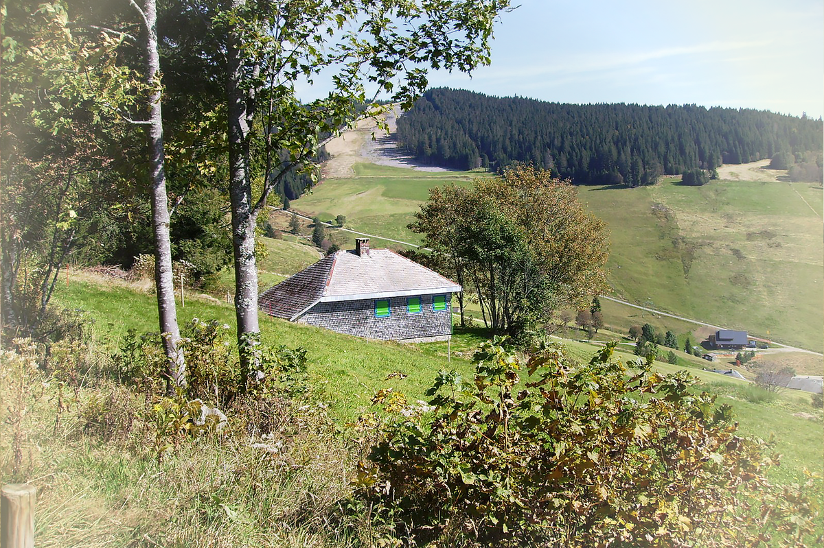 Та самая хижина, в которой жил Хайдеггер
