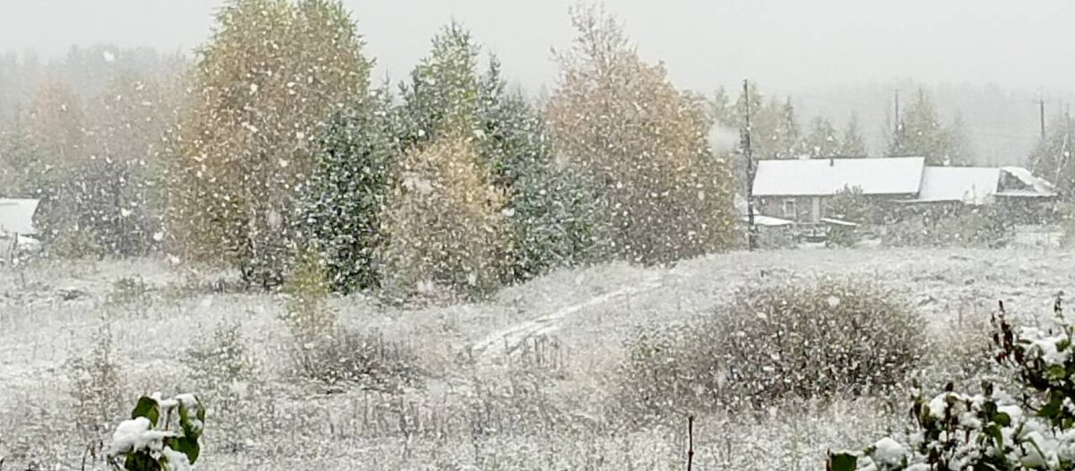    Фото: Ольга Пурик