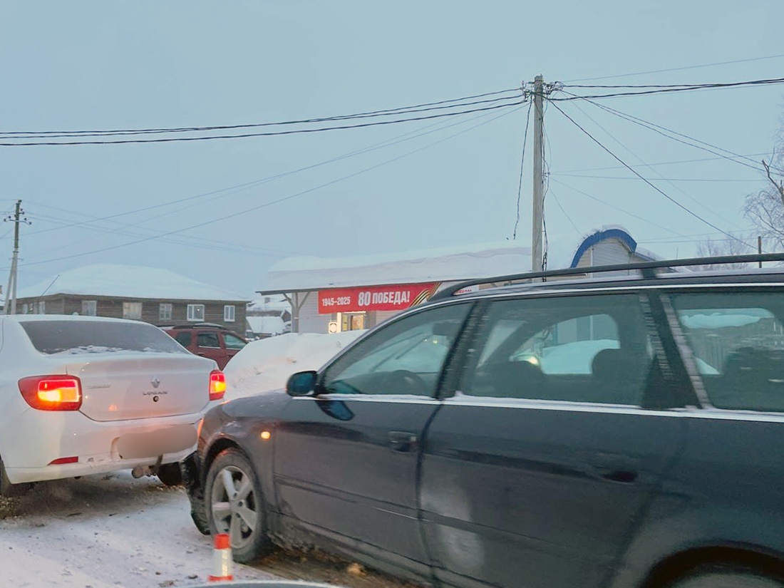    Фото: Елена Истомина, ПН