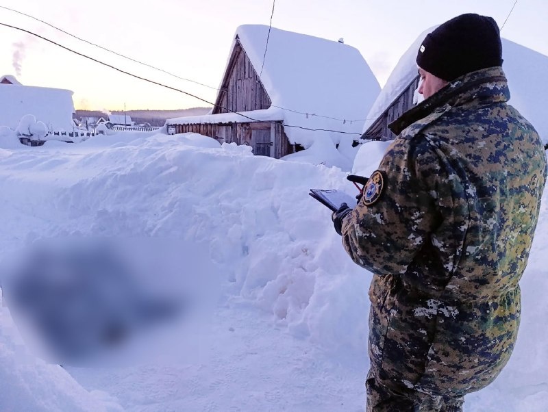    Фото: СУ СК России по Пермскому краю