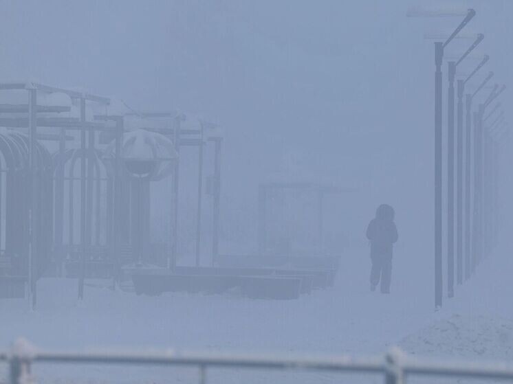     Фото: Андрей Ткачёв/«Ямал-Медиа»