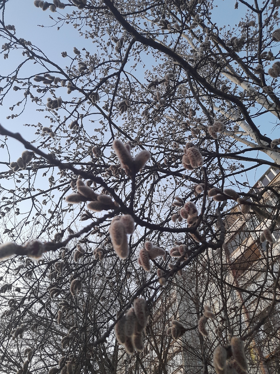 Скоро весна!