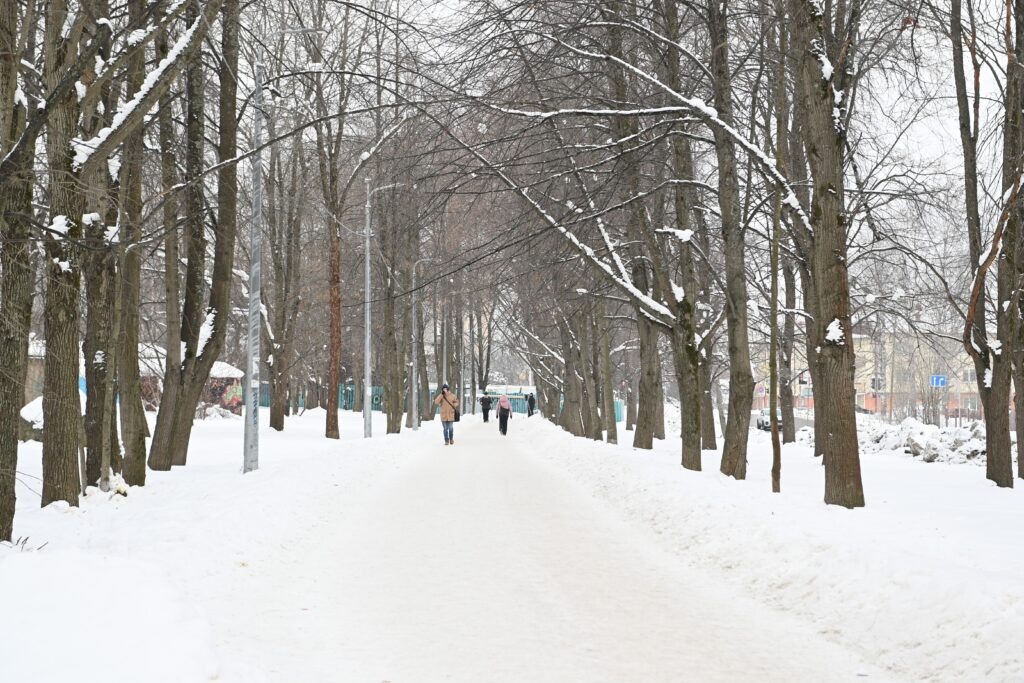 Фото: «Республика» / Лилия Кончакова  📷
