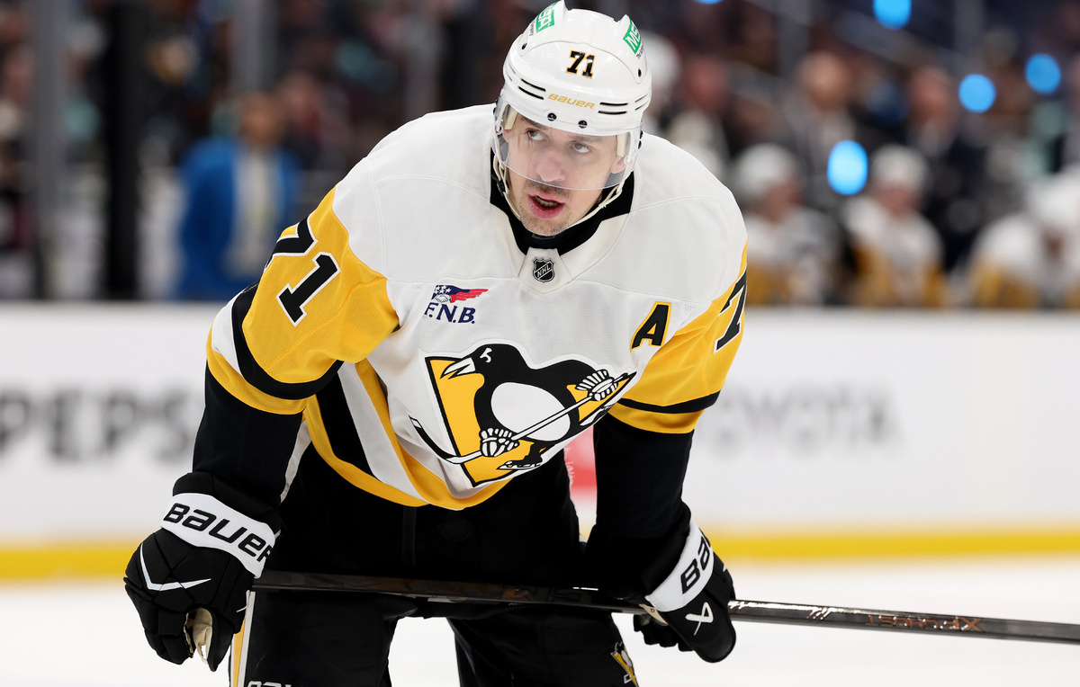    Евгений Малкин   Steph Chambers/Getty Images