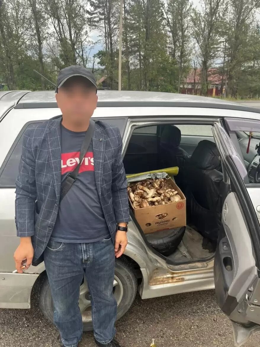    Источник фото: