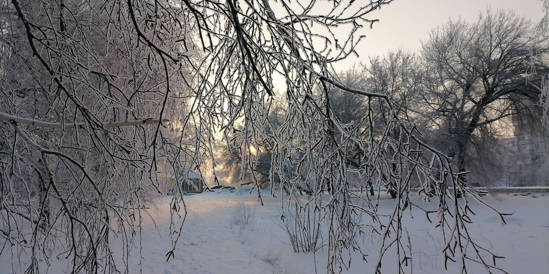 Что у нас тут происходит, о протекании болезни мамы
