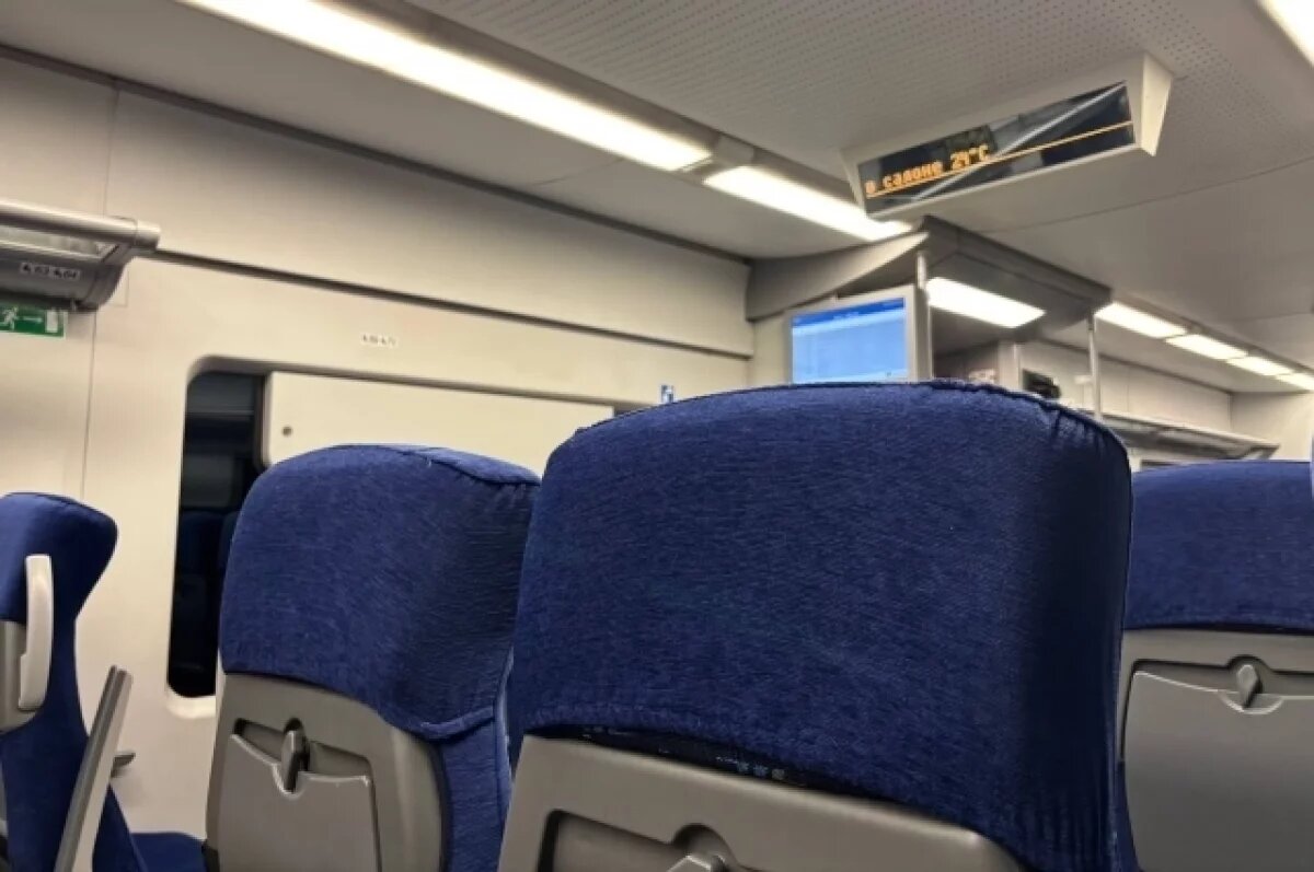    Пассажиры пригородного поезда на Сахалине пожаловались на «светомузыку»