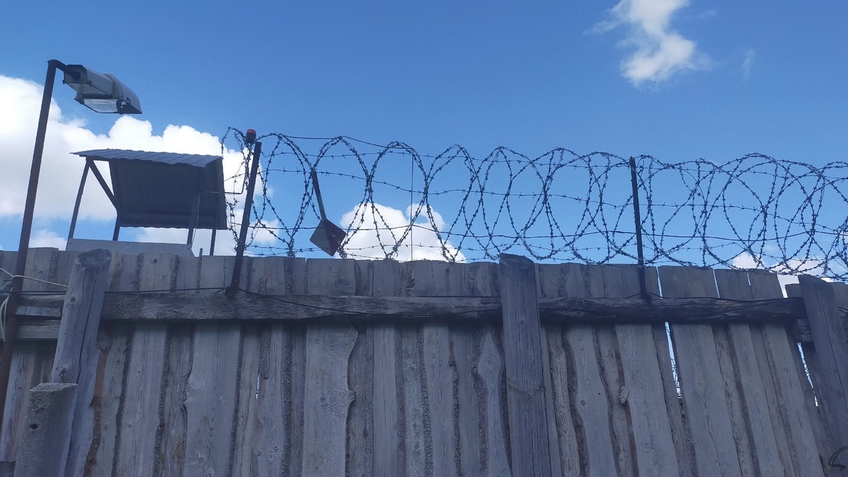    Фото: Анна Шайбакова