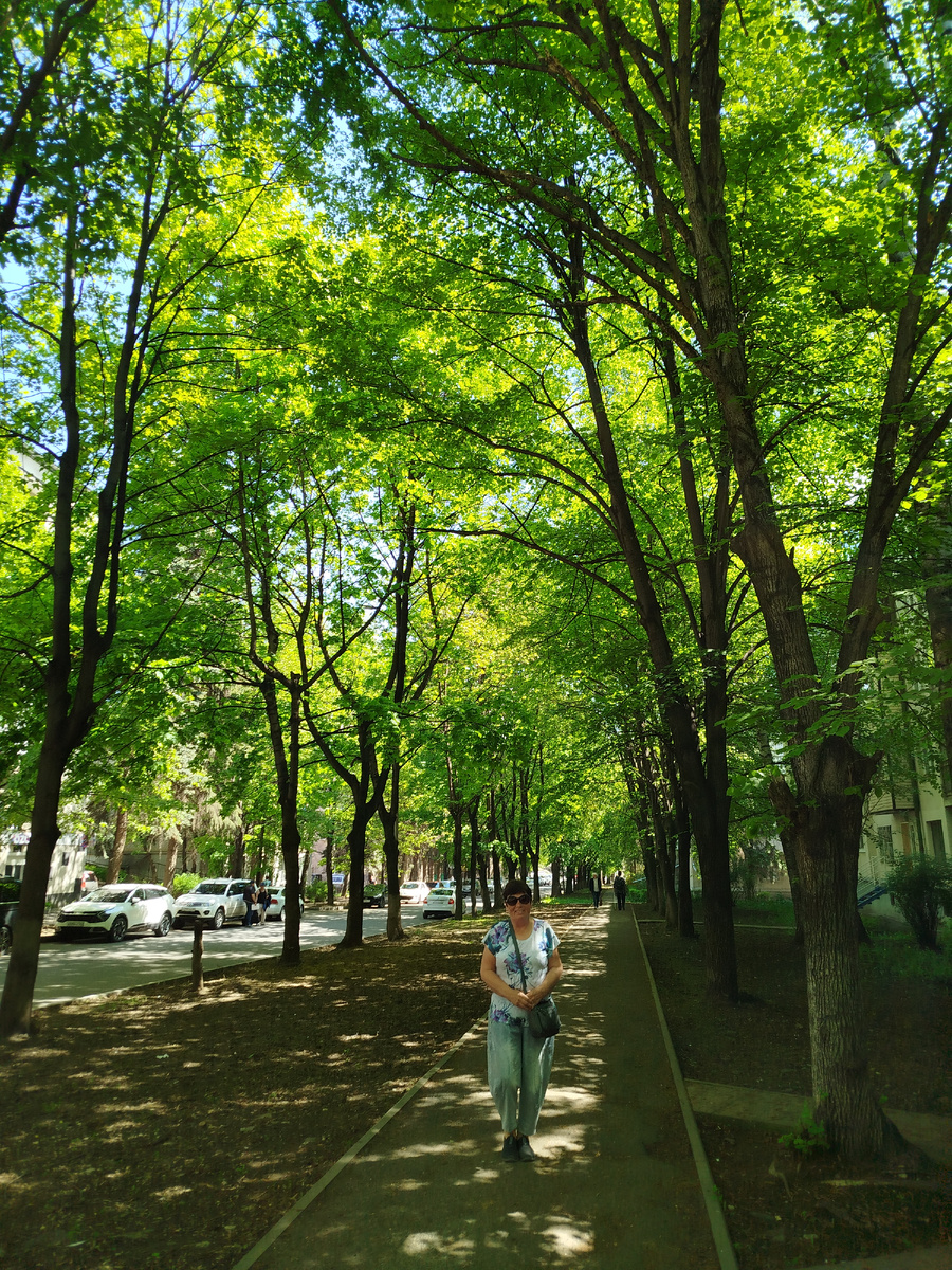 Фото автора.