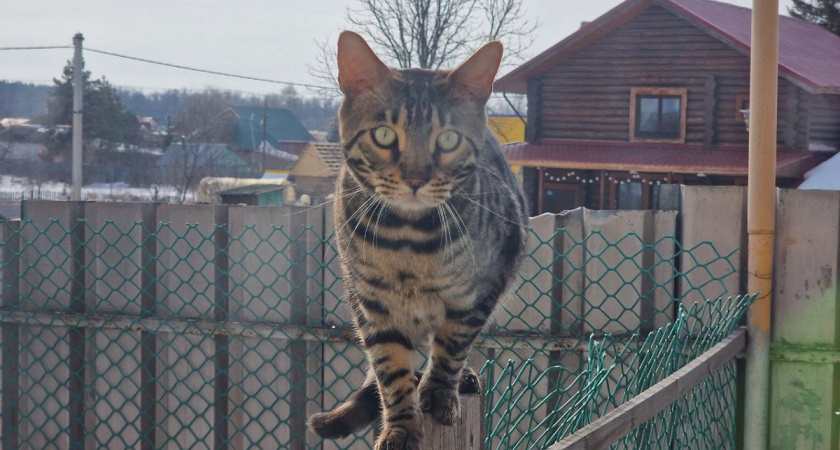    Фото Анастасии Дмитриевой