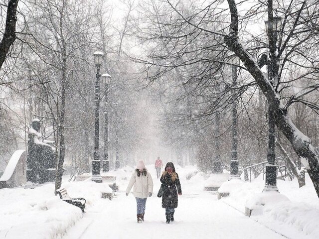    Фото: портал мэра и правительства Москвы/Евгений Самарин