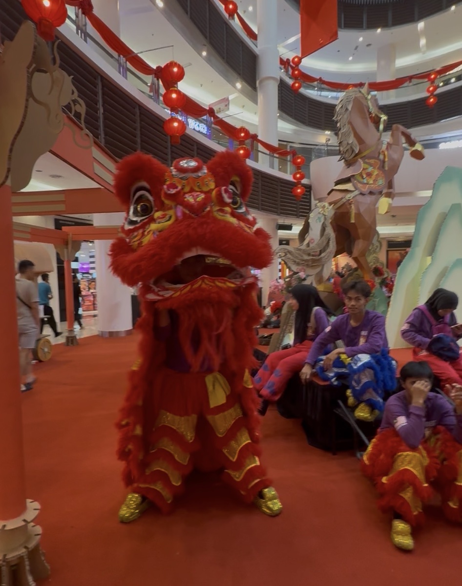 Лев позирует