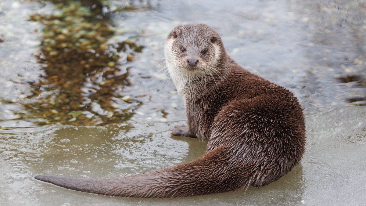    В финал вышли четыре претендента. Фото несет иллюстративный характер