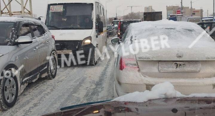    Telegram-канал «Мои Люберцы»