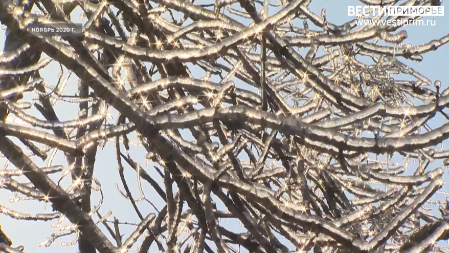    Источник фото: