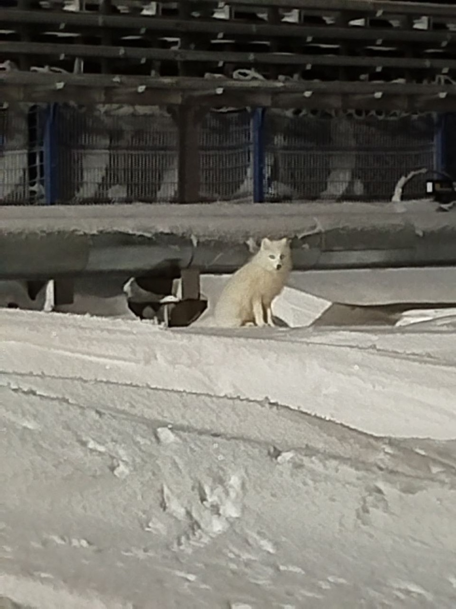 Виды на вахте