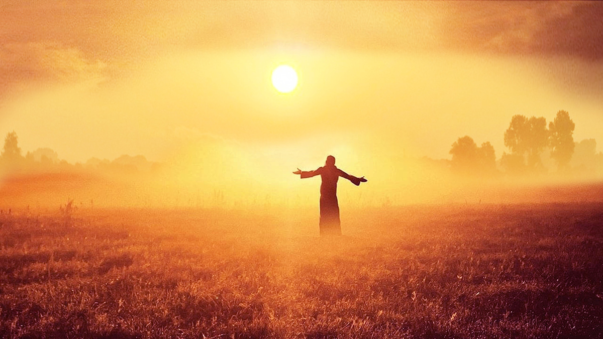 (Компьютерная графика Анны Зубковой)