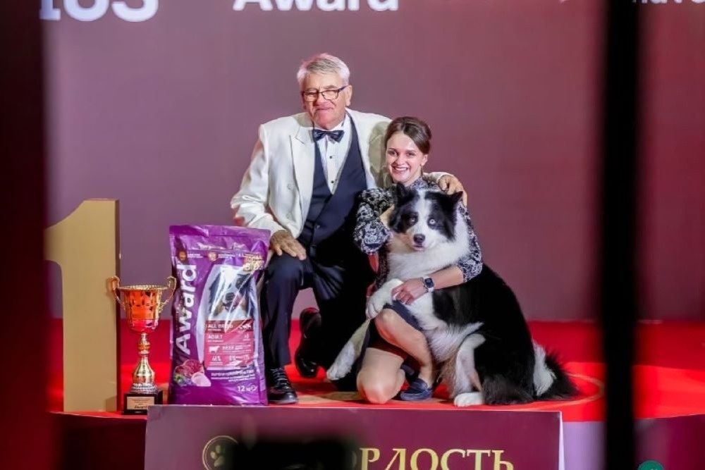    t.me/ulusmedia/132943