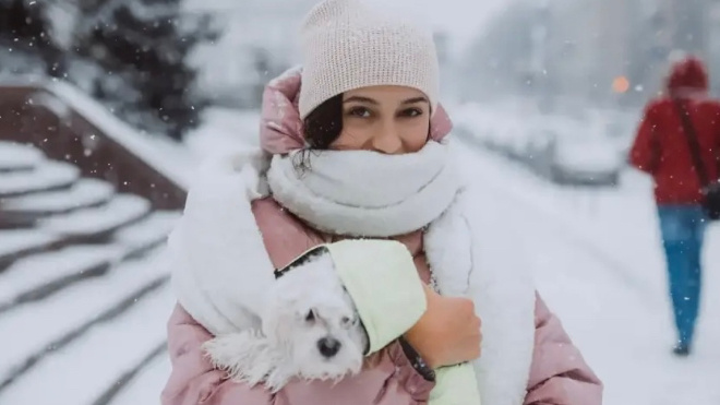 Фото: Управление ветеринарии Ленинградской области