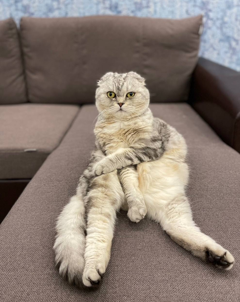 Из личного архива 