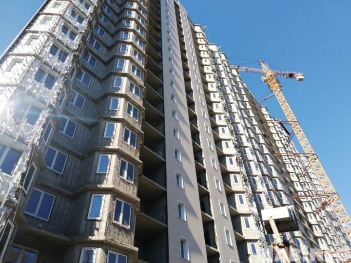    Фото:Екатерина Подпенко