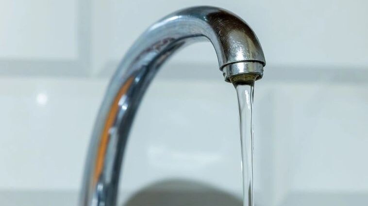    Фото: Федор Воронов/«Ямал-Медиа»