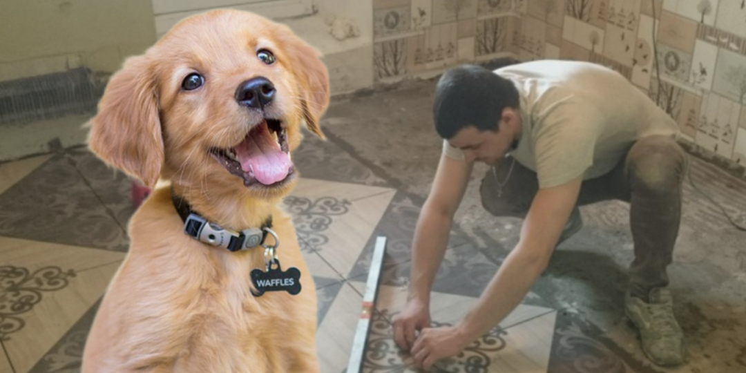 Бракованным щенком рассчитались за работу. А он сделал хозяина знаменитым