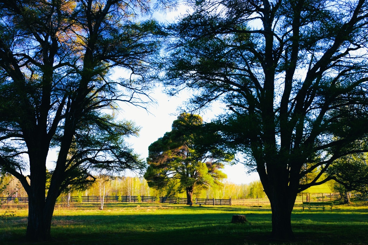 На поляне "Йортбика"