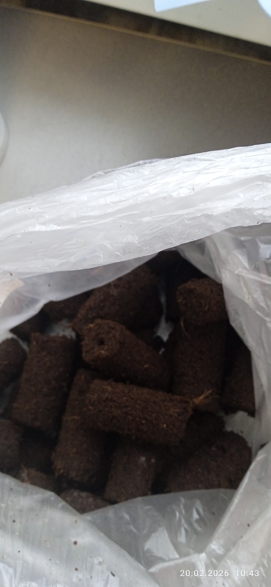 Личное фото